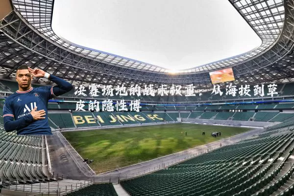 决赛场地的战术权重:从海拔到草皮的隐性博弈